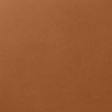 061 - Golden Cappuccino