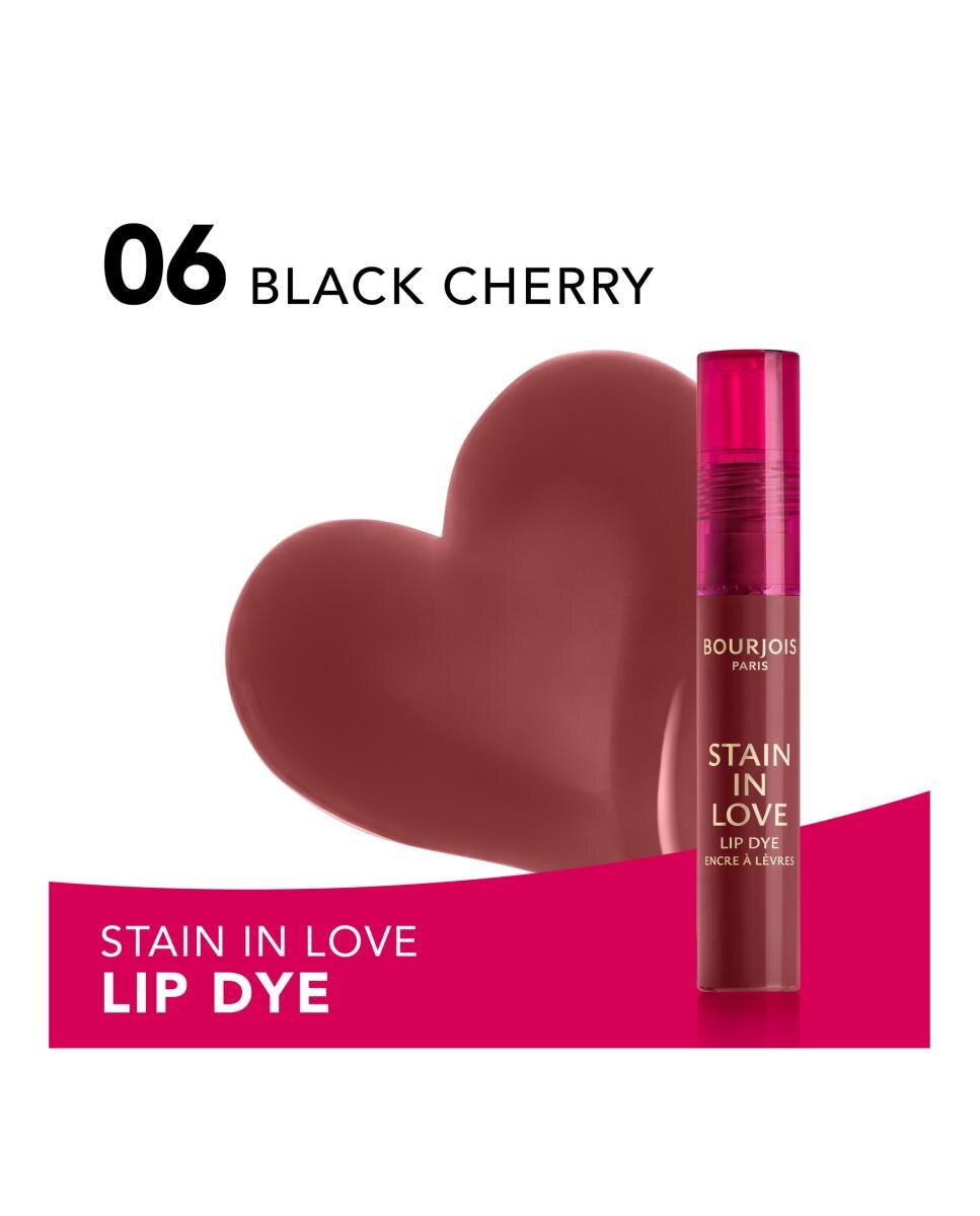 Brillo de Labios Stain in Love Bourjois - 06 Black Cherry 06 Black Cherry-4