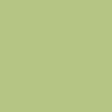 GREEN SERENI TEA GREEN SERENI TEA