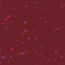 105 Scarlet Red 105 Scarlet Red