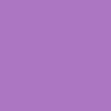 07 Matte Violet 07 Matte Violet