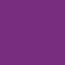 402  Plum Euphoria