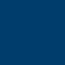 Striking Navy 920