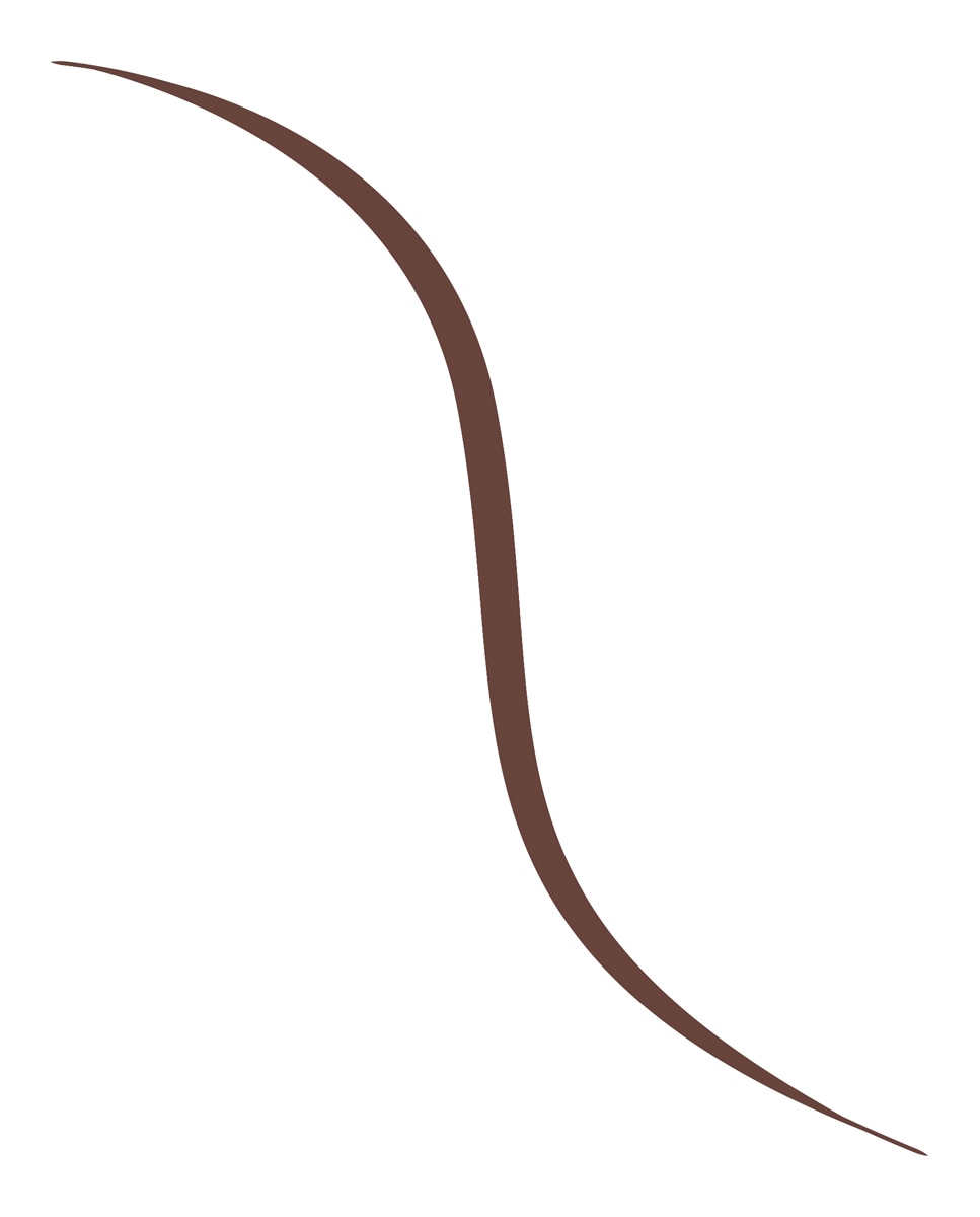 Eyeliner Infaillible Grip micro-fine liner L'Oréal Paris - 02 Smokey Earth 0,4 g 02 Smokey Earth-3
