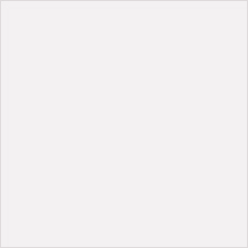 100 100