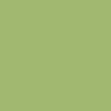 590 Key Lime 590 Key Lime