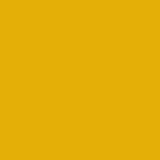 760 BEE PROUD