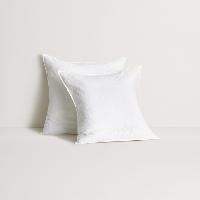 Imagen 0 de Funda de cuadrante algodón Jaymes Sheridan