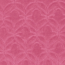 Coral Coral