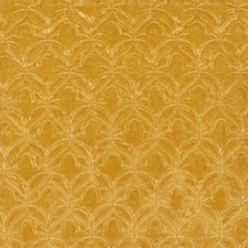 Amarelo Amarelo