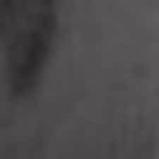 Gris Gris