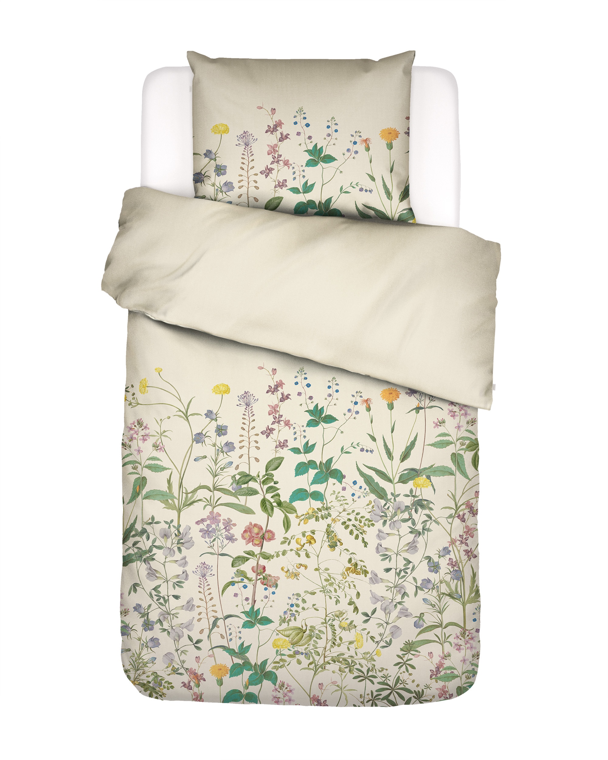 Juego de funda nórdica algodón satén Augustina Essenza - Crudo Cama 90 cm Crudo-5