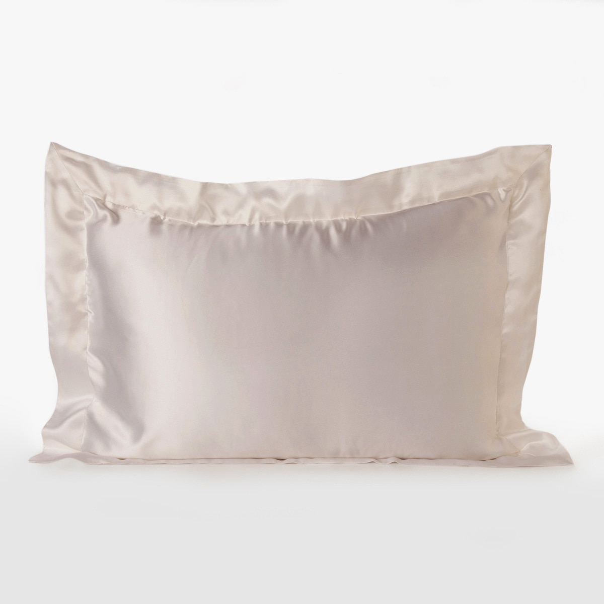 Capa de almofada de seda Mulberry Plain Colour Vison-1
