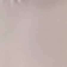 Vison