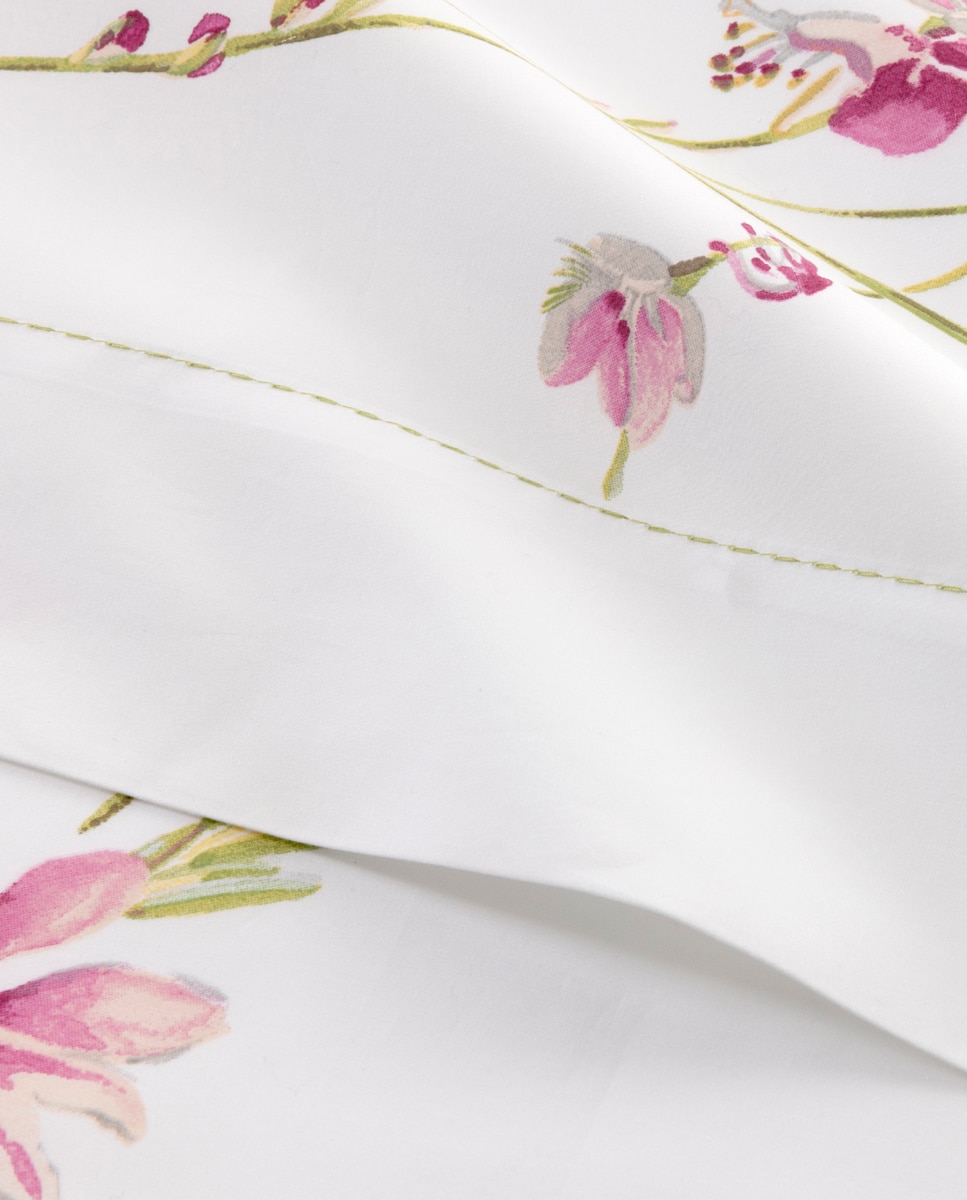 Lençol de Cima de Algodão Gaura Multicolor-2