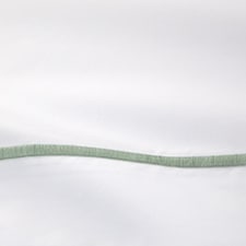 Veronés