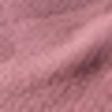 Rosa Rosa