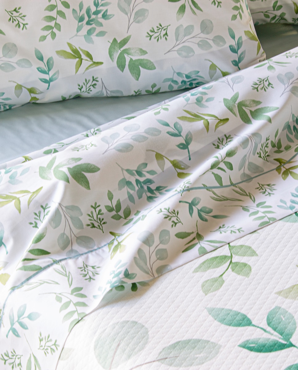 Conjunto de Lençóis de Algodão Hickson Verde-4