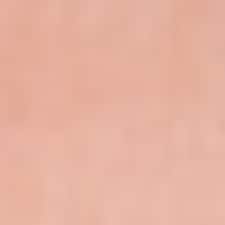 Rosa Rosa