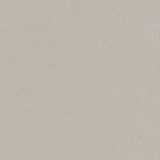 Taupe Taupe