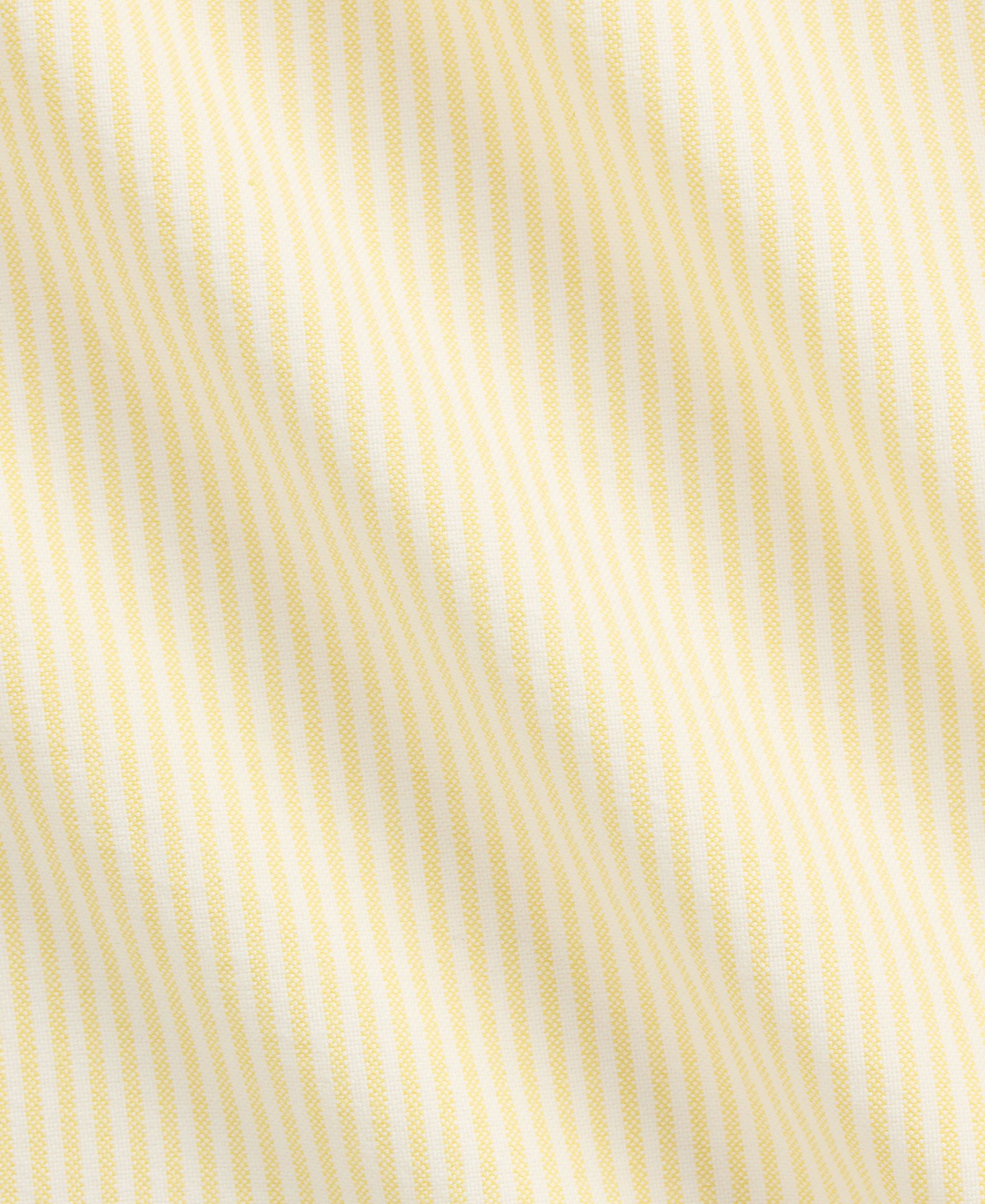 Camisa Oxford de Algodão Custom Fit Amarelo-5