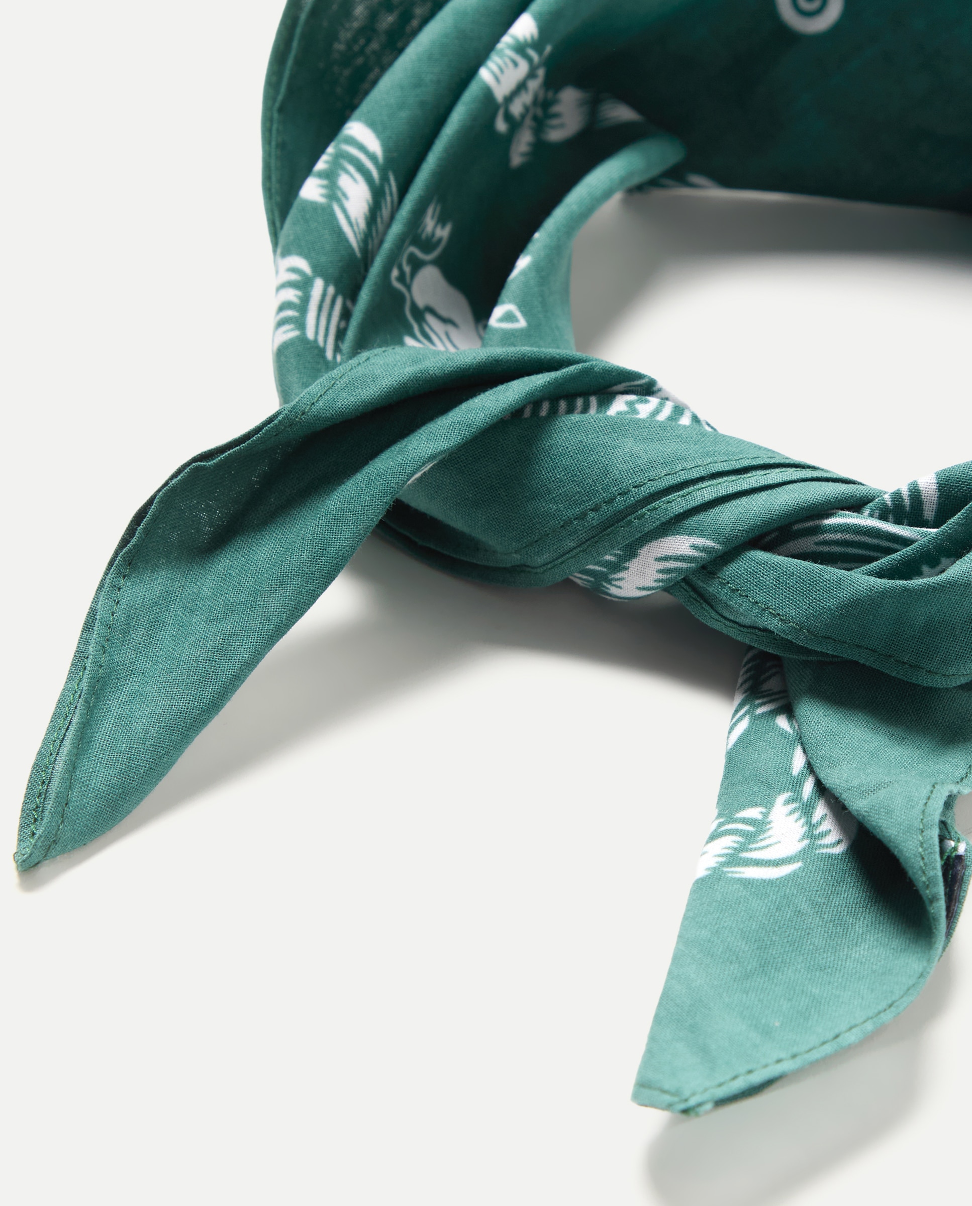 Pack de Bandanas Estampadas 530 Verde Escuro-2