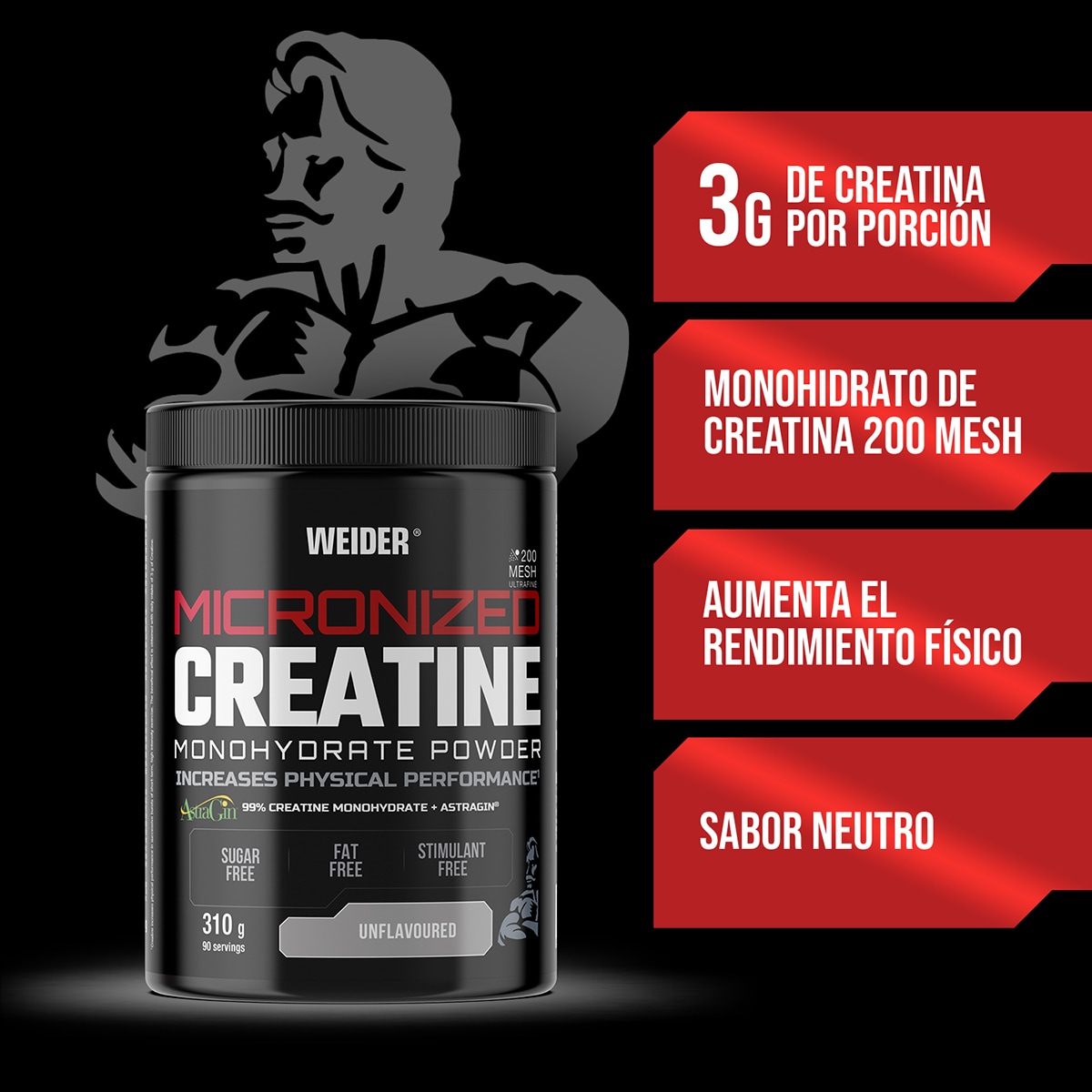 Creatina Micronized Creatine 310 g 2