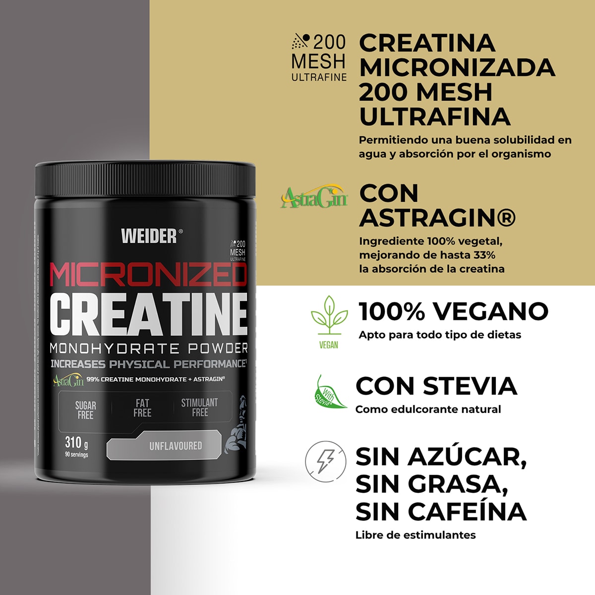 Creatina Micronized Creatine 310 g 3