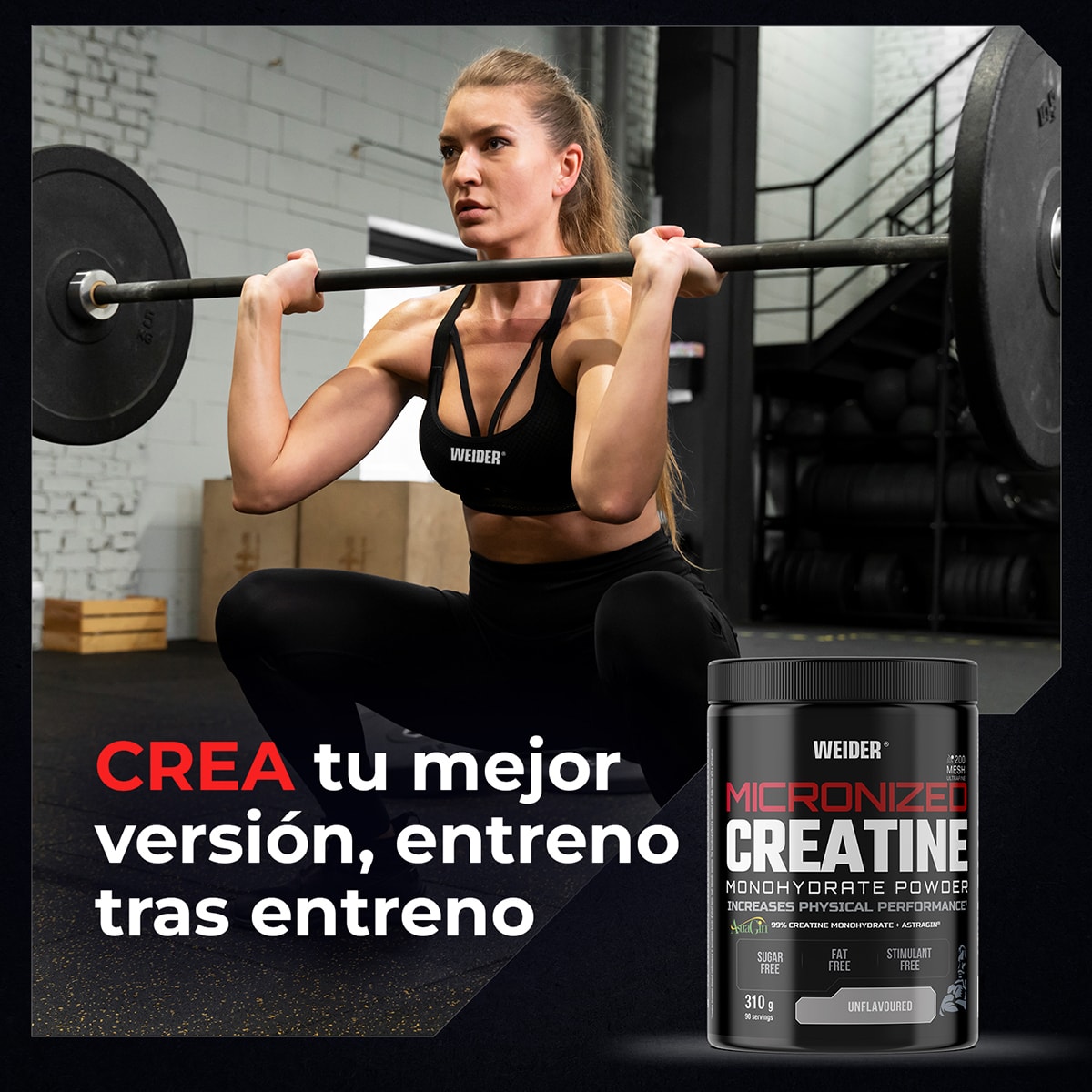 Creatina Micronized Creatine 310 g 5