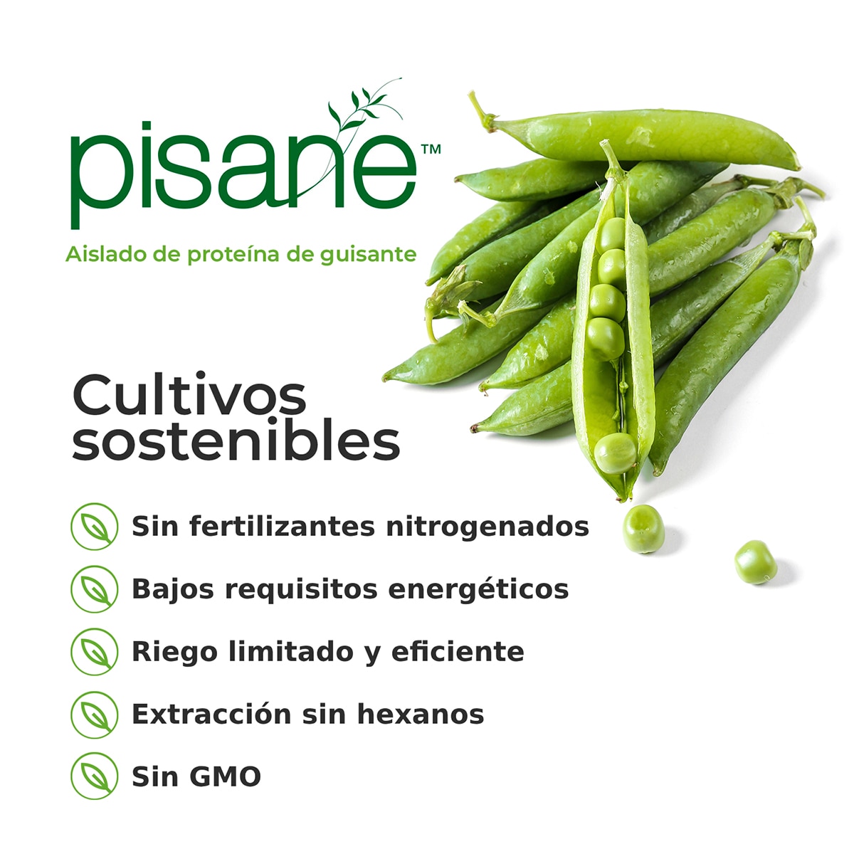 Vegan Protein Morango - 750 g 6