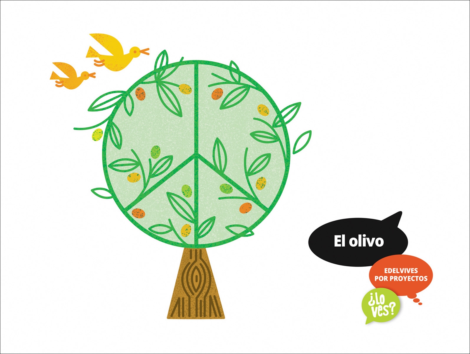 Proyecto ¿Lo ves? : El olivo 1