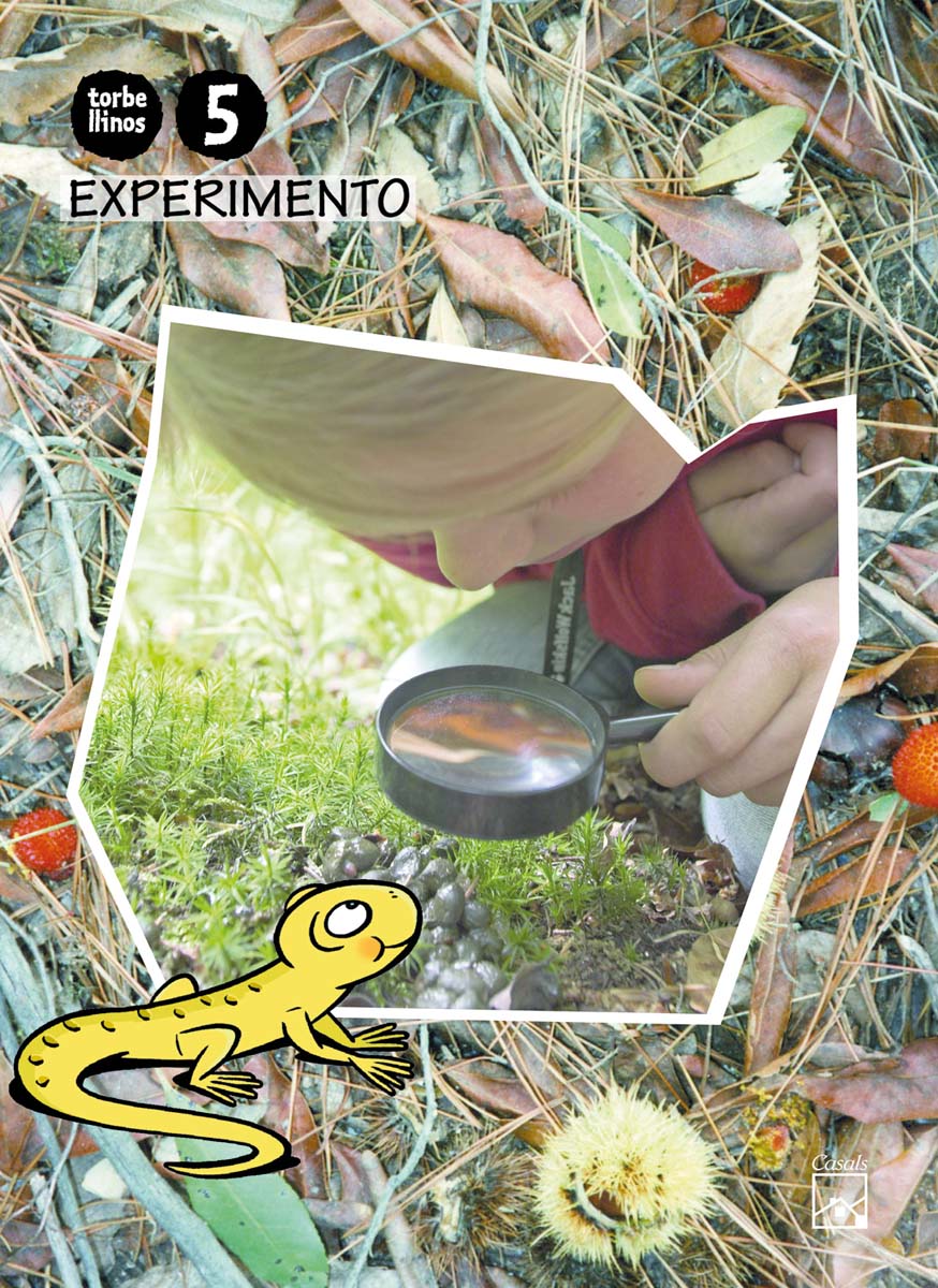 Libro Experimento 5 años. Torbellinos