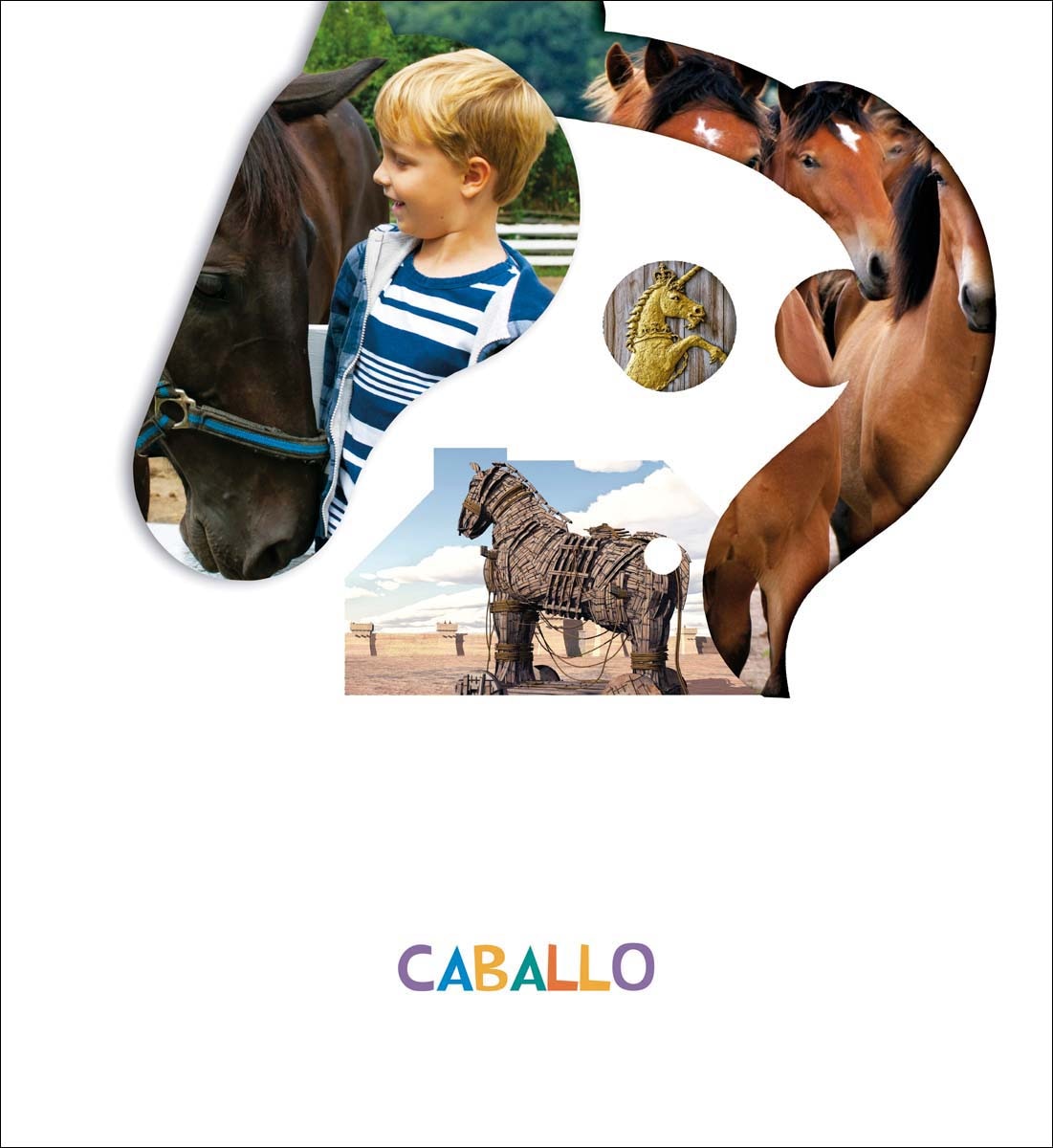 Imagen 0 de Proyecto ¿Lo ves? : Caballo