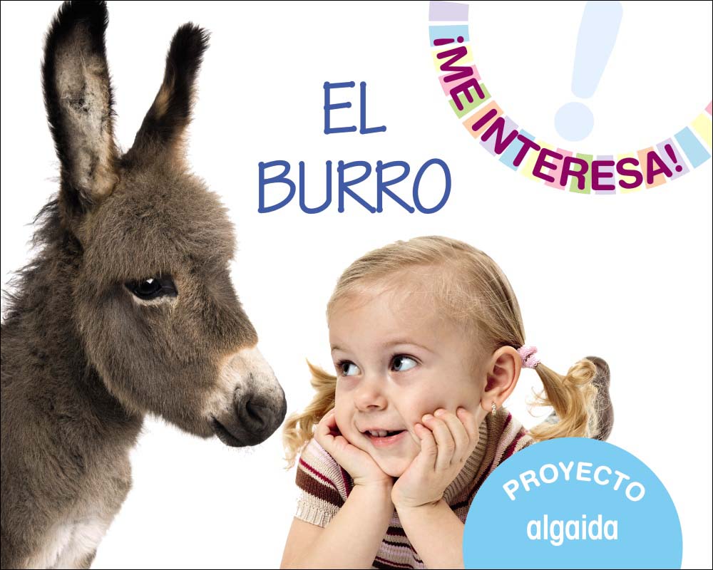 Proyecto "El burro" 1