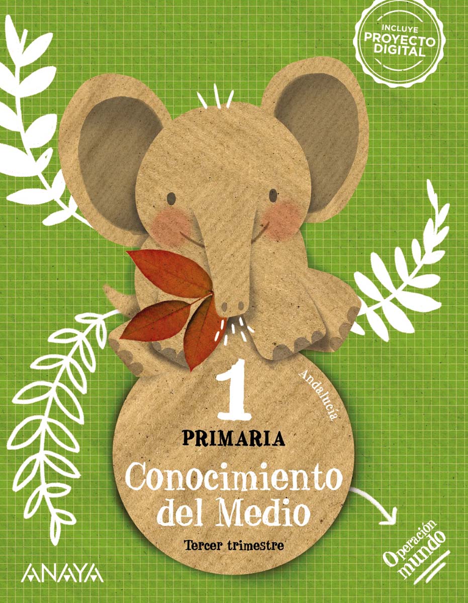 Imagen 1 de Conocimiento del Medio 1. Cuadrícula  (Tapa blanda)