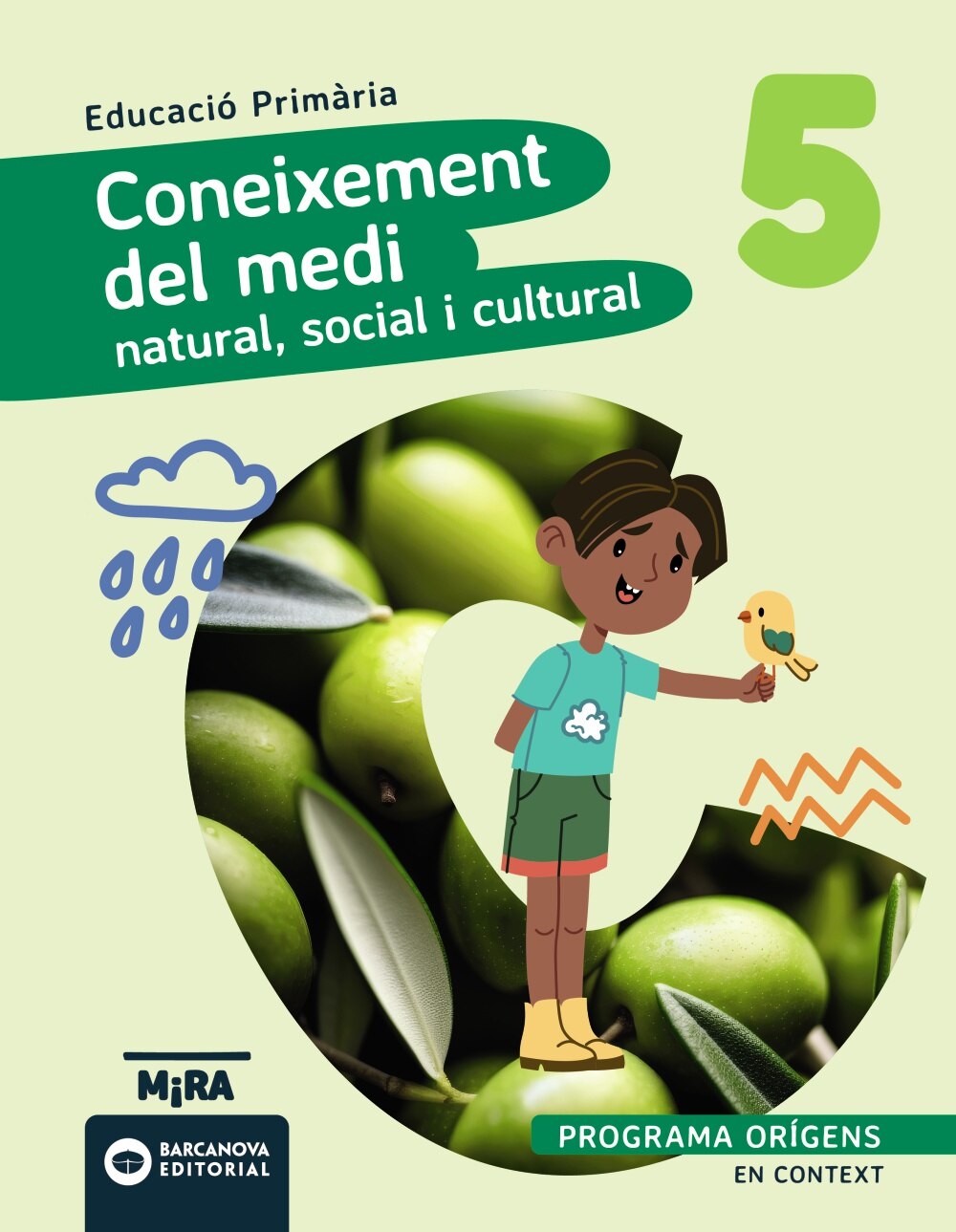 Imagen 0 de CONEIXEMENT DEL MEDI NATURAL, SOCIAL I C (Tapa blanda)