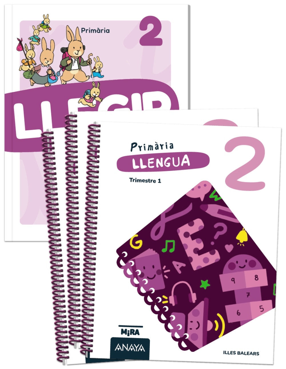LLENGUA 2. + LLENGUA 2. LLEGIR. ELS ANIM