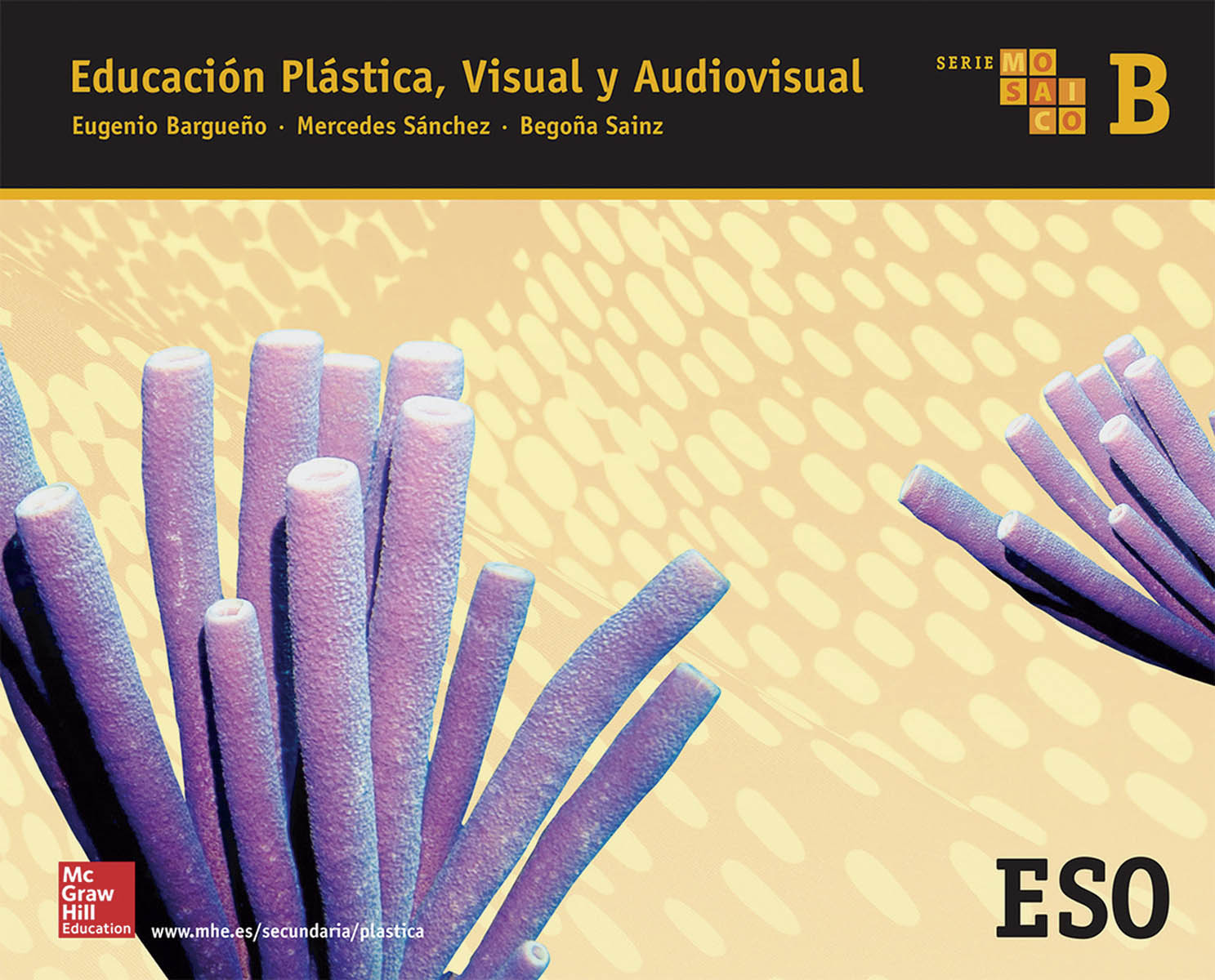 Educacion Plastica, Visual y Audiovisual B. Serie Mosaico. 2