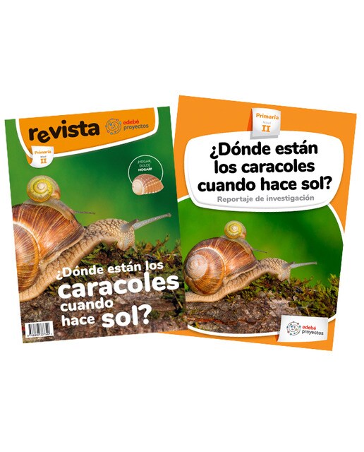 ¿DÓNDE ESTÁN LOS CARACOLES CUANDO HACE SOL?