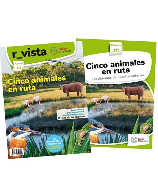 CINCO ANIMALES EN RUTA.