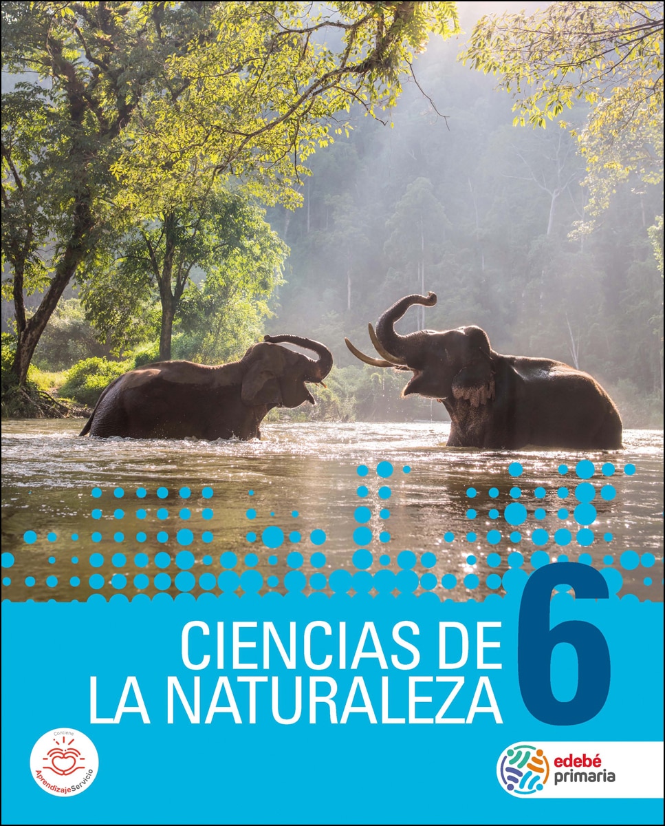 Portada de CIENCIAS DE LA NATURALEZA 6 (Tapa blanda).