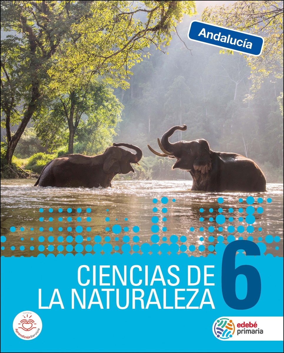 CIENCIAS DE LA NATURALEZA 6