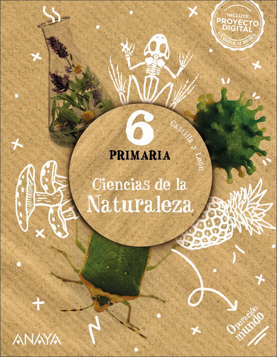 CIENCIAS DE LA NATURALEZA 6 (Tapa blanda) 1