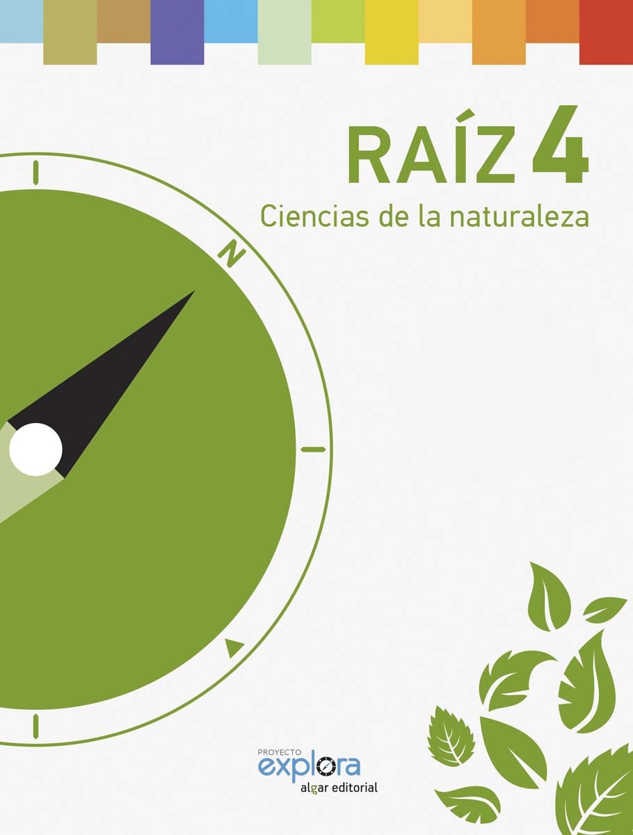 Raíz 4