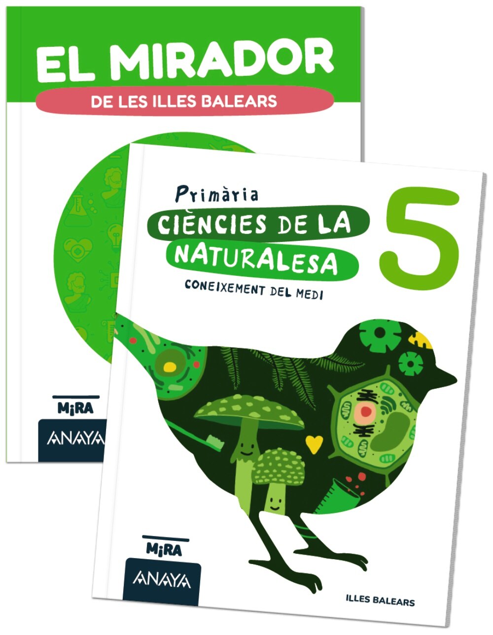 CONEIXEMENT DEL MEDI. CIÈNCIES DE LA NAT (Tapa blanda) 1