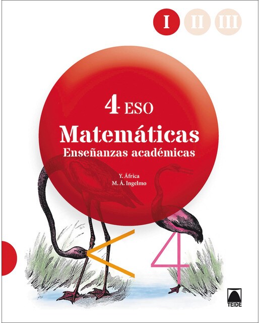 Matemáticas 4º ESO - Enseñanzas académicas  (Tapa blanda) 1