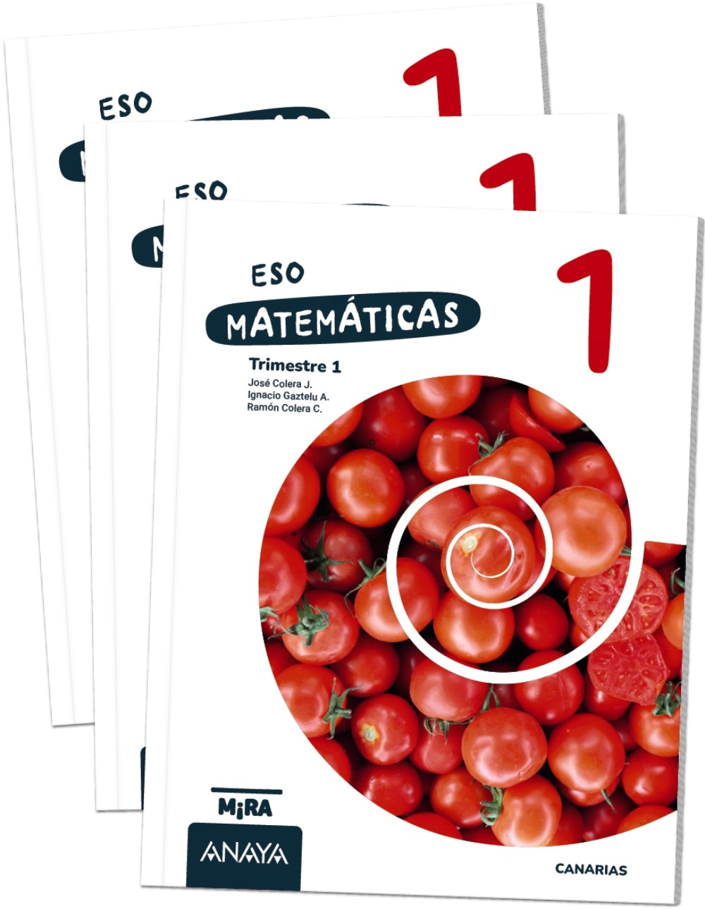 MATEMÁTICAS 1 (Tapa blanda) 1