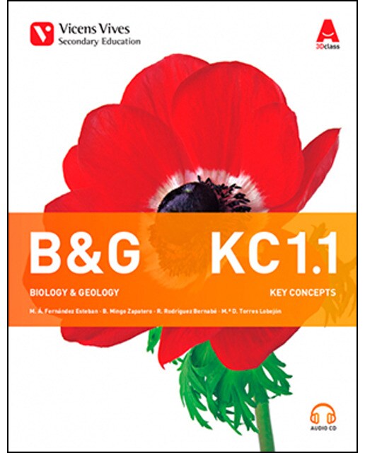 B&amp;G 1 KEY CONCEPTS+ 3CD'S