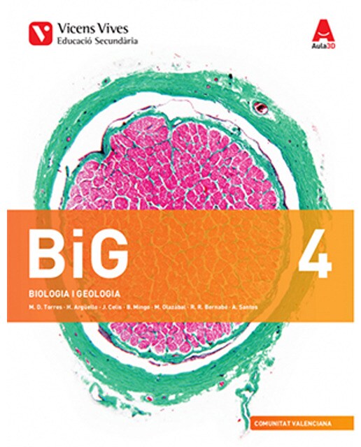 Big 4 valencia+ big 4 valencia dossier