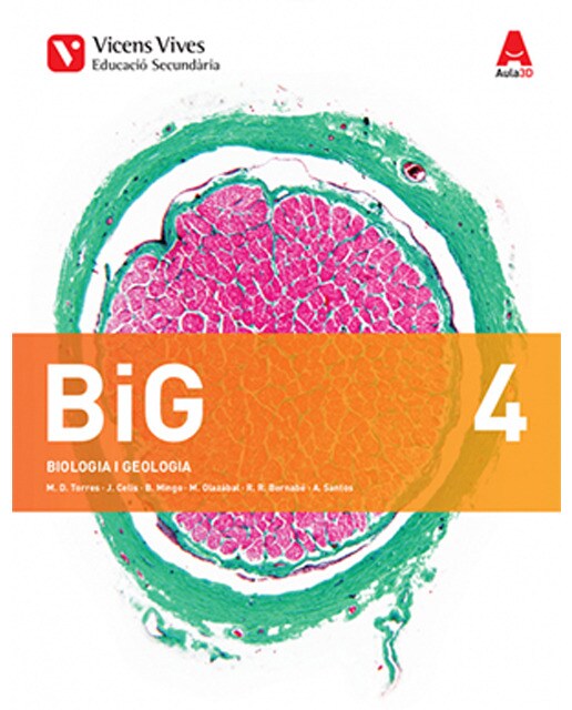 Imagen 0 de Big 4+ big 4 dossier (Tapa blanda)
